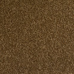 CANTERBURY PEANUT BUTTER 494 | LIFESTYLE FLOORS