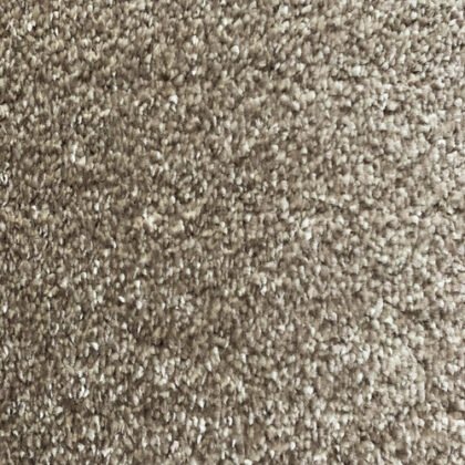 CANTERBURY PLUS LITTLEBOURNE | LIFESTYLE FLOORS