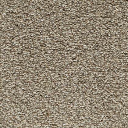CANTERBURY EXTRA 472 STICKY TOFFEE | LIFESTYLE FLOORS