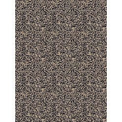 VENICE DESIGNER COLLECTION IV 1890 BEIGE/BLACK | OWN LABEL