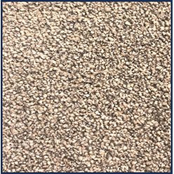 ONTARIO TWIST ACTION PARCHMENT | OWN LABEL