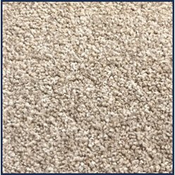 ONTARIO TWIST ACTION BEIGE | OWN LABEL