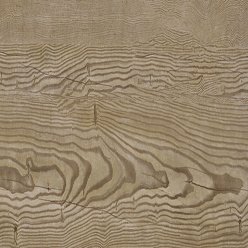 CAMARO LOC PUR 3439 HICKORY OAK | POLYFLOR