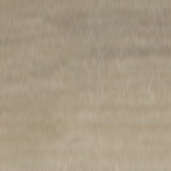 EXPONA BEVEL LINE PUR 2998 GREY ASH | POLYFLOR