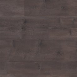 TRADITIONS 61013 TRUFFLE PINE | BALTERIO