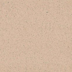 TARASAFE STANDARD 7312 DUNE | GERFLOR