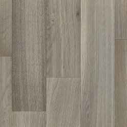 SILENTO 50 BOTTICELLI T93 | IVC