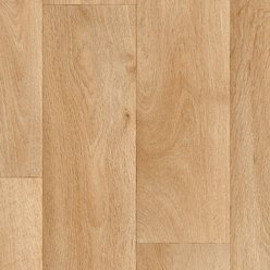 SILENTO 50 TORONTO T10 | IVC