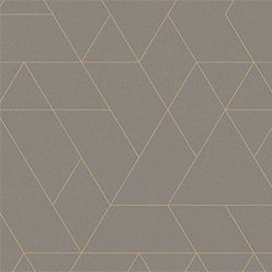 TITANIUM XT JESTER 593 | AVENUE OF STYLES