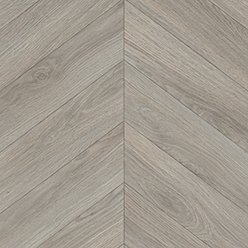 NOVUS CORNELIA 584 | LEOLINE