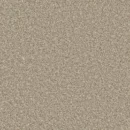 Kiliminė danga Apollo Plus - Manhattan Taupe
