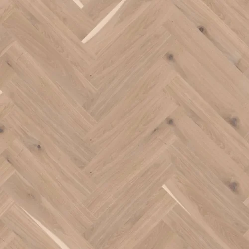 344834488 10152472 sn
