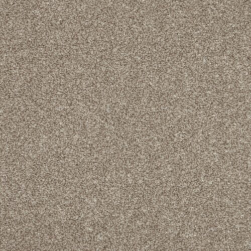 isaxgana4s overhead.jpg