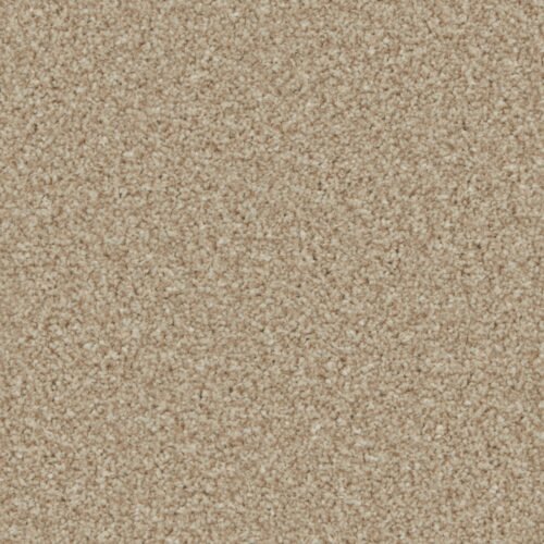 kingston classic caracal overhead.jpg