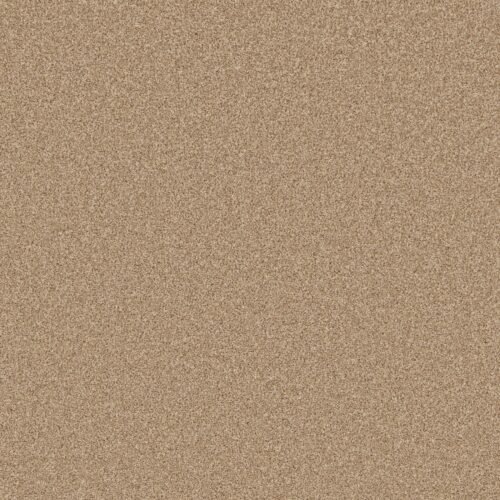 pnatsand4s overhead.jpg