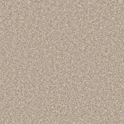 primo ultra doeskin overhead.jpg