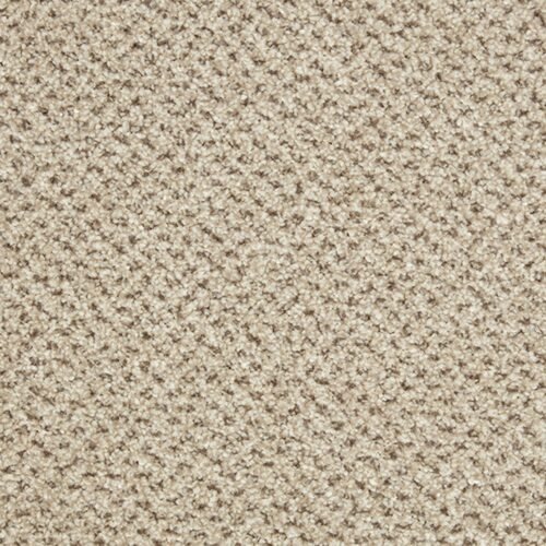primo tweeds malibu overhead.jpg