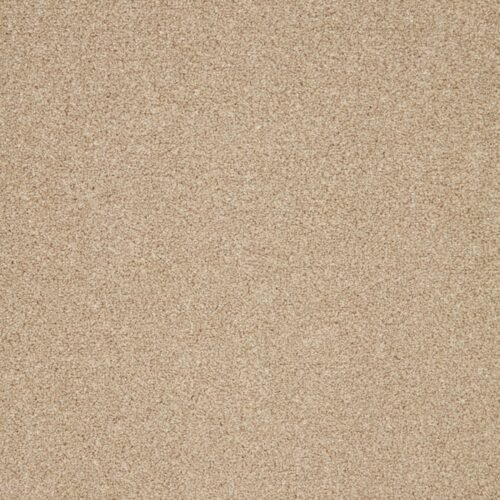 trinity marshmallow overhead.jpg